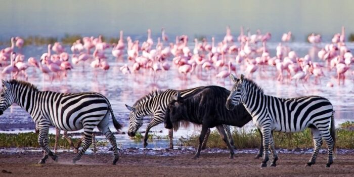 Lake-Nakuru-National-Park