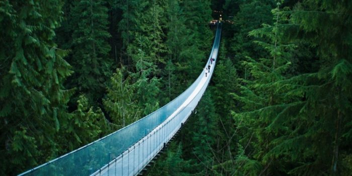 Capilano Suspension Bridge