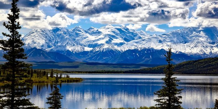 Denali National Park