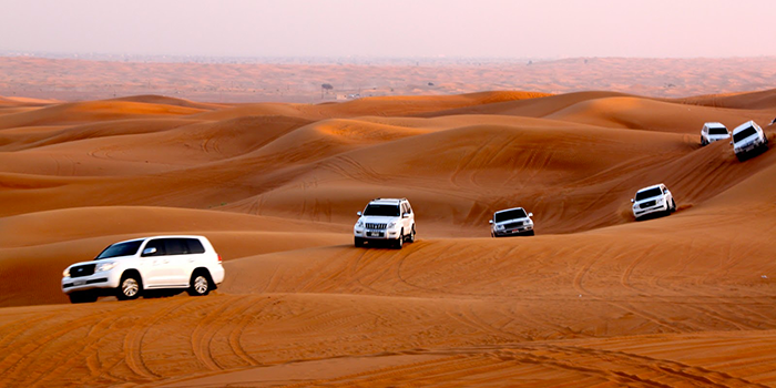 Desert Safari, Dubai