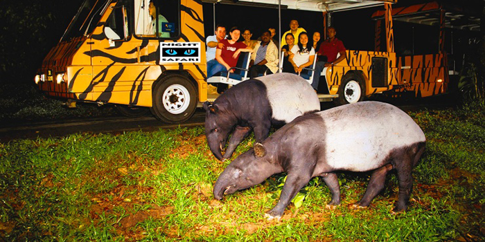 Night-Safari, Singapore