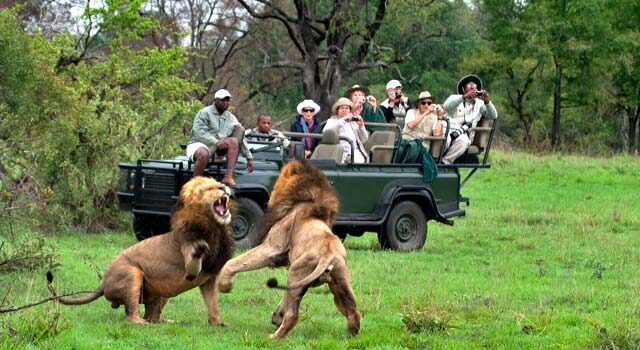 Pilanesberg Game Reserve