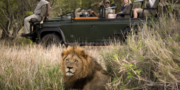 Package 8 Kruger National Park