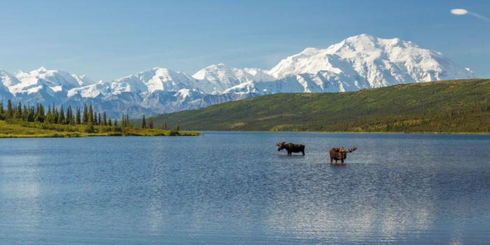 DenaliNationalPark-Alaska-2020-GettyImages-628618916