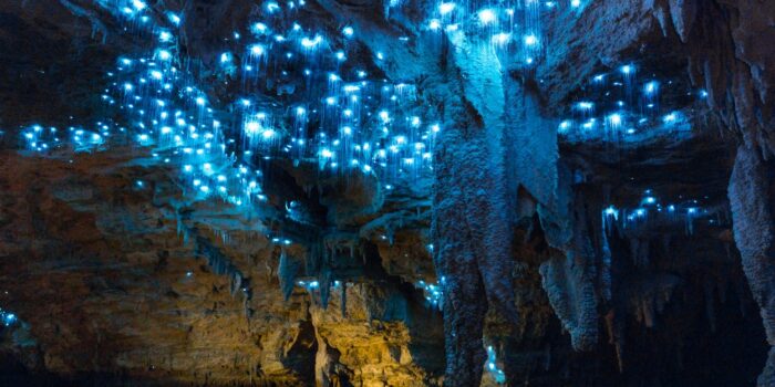 Waitomo-Glowworm-Caves-New-Zealand-4