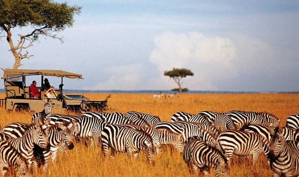 Mara-tour-Kenya-Safari